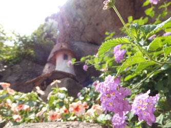 Flower110