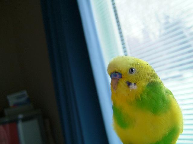 DSCF0023.jpg