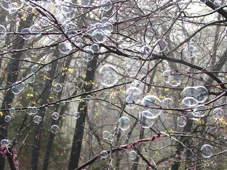bubbles3