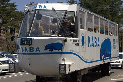 カバ1.jpg