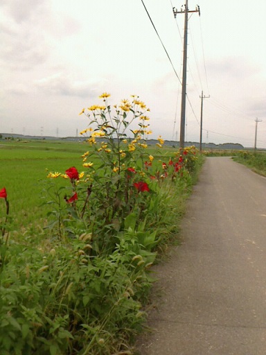NEC_0314.jpg2.jpg