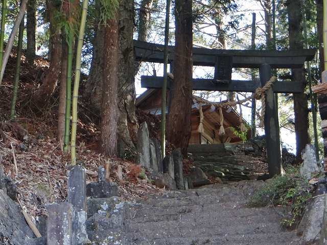DSC01511 (640x480).jpg