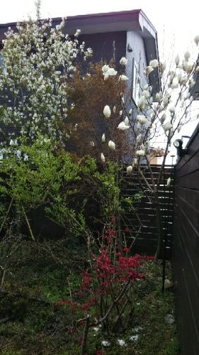 rblog-20180504103555-03.jpg