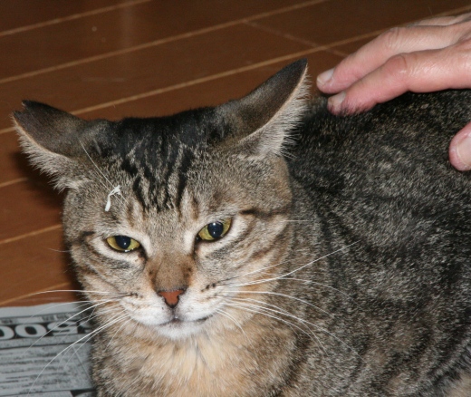 20160217ﾙﾅ03.jpg
