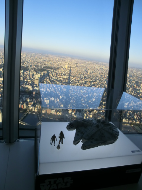 ｽｶｲﾂﾘｰ初日の出 (124).JPG