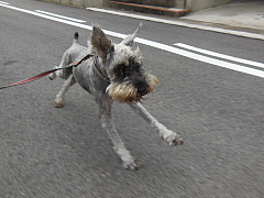 conv0004.JPG