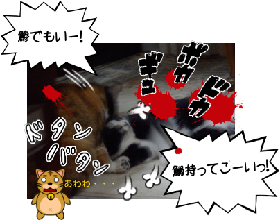 P6110043.png