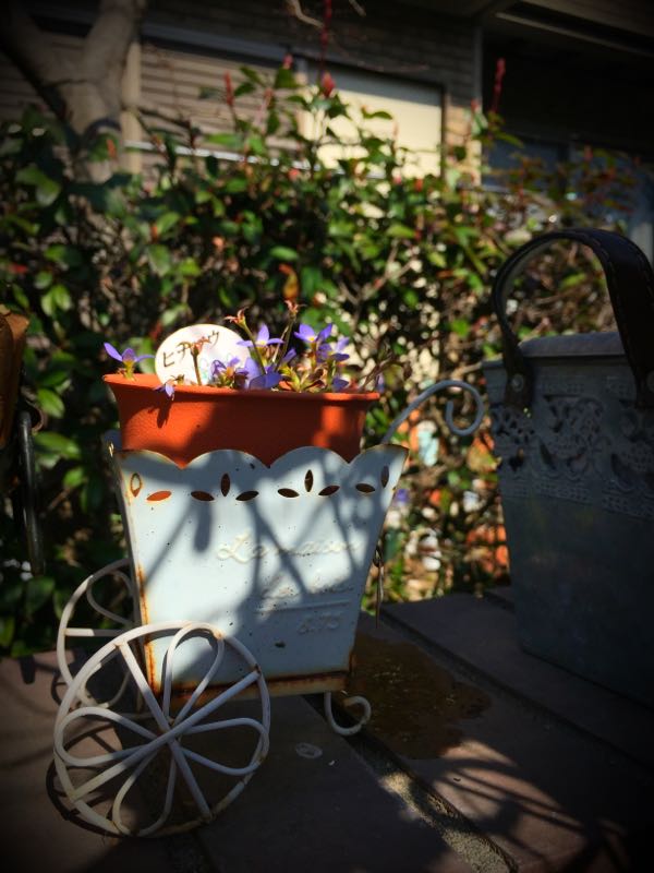 rblog-20150227215930-02.jpg