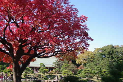 清澄庭園