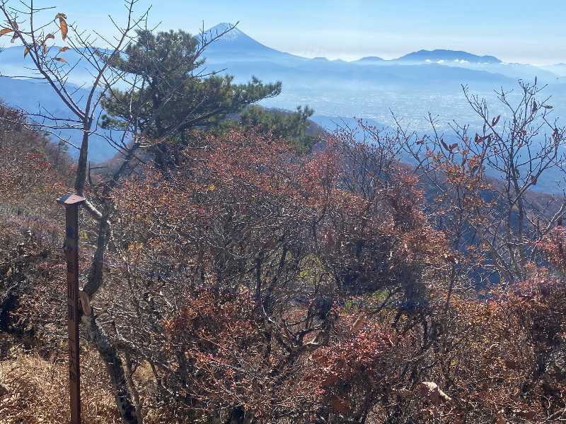 ニセ八ツ~金ヶ岳（かながたけ・1,764m）と茅ヶ岳（かやがたけ・1,704m）(2) | 醍醐山と下部（しもべ）温泉 - 楽天ブログ