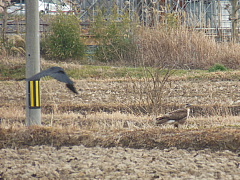 conv0591.JPG