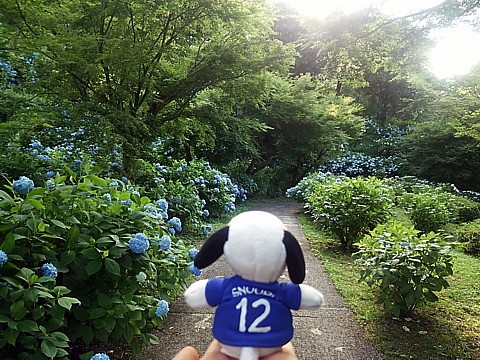 IMG_20160602_175828.jpg