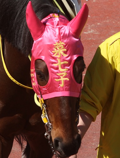 藤田騎手60.jpg