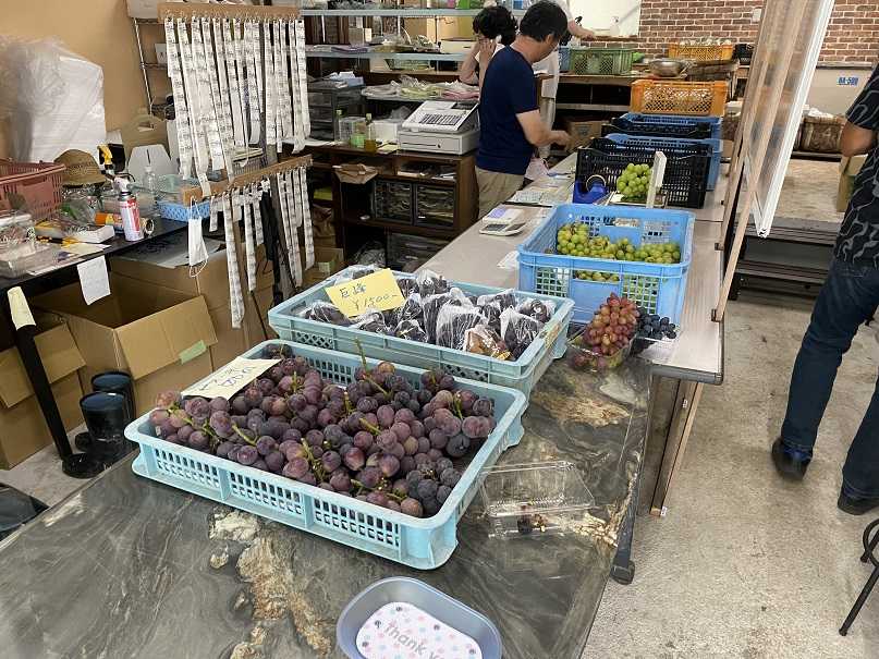 青山農園 ぶどうの直売所 北崎 お馬鹿のブログ 楽天ブログ