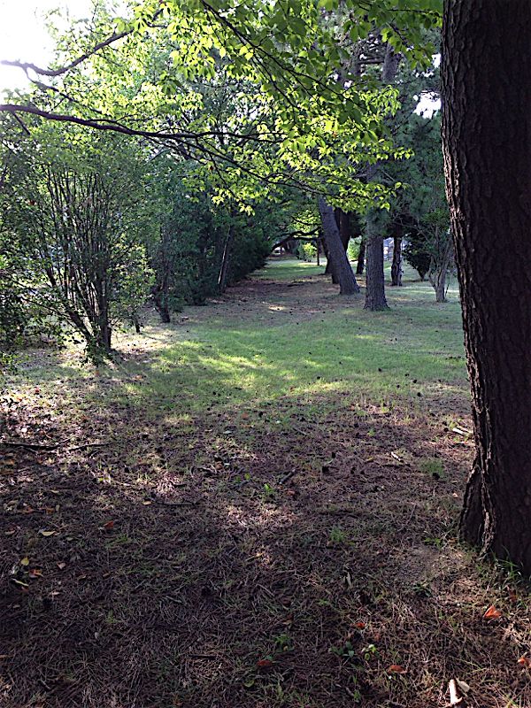 rblog-20140801101803-01.jpg