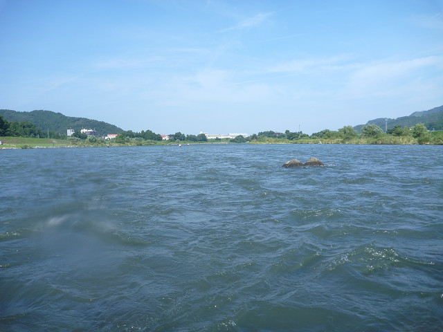 resize0040.jpg