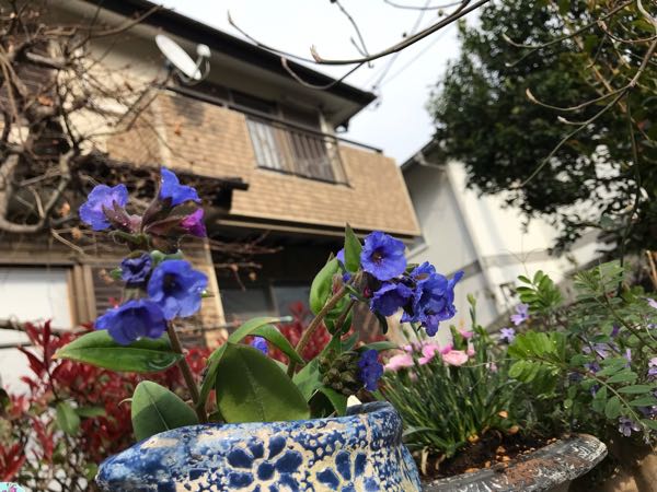 rblog-20190401163710-09.jpg