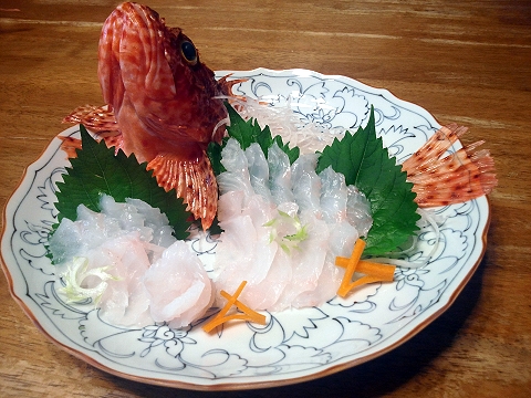 オニカサゴの造り.jpg