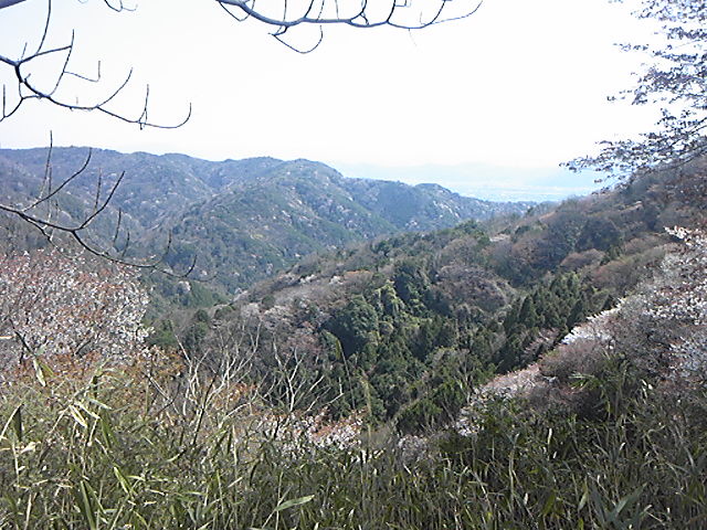 130330_123855.jpg