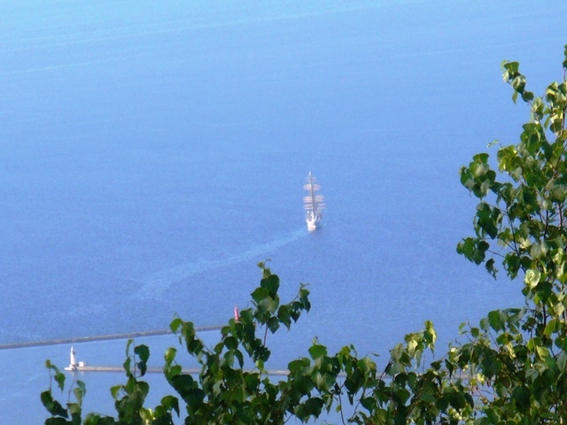 沖停泊日本丸.jpg