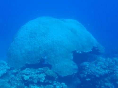 rblog-20180725064541-01.jpg