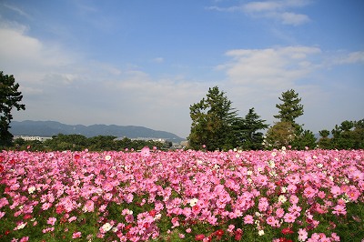 IMG_6257.jpg