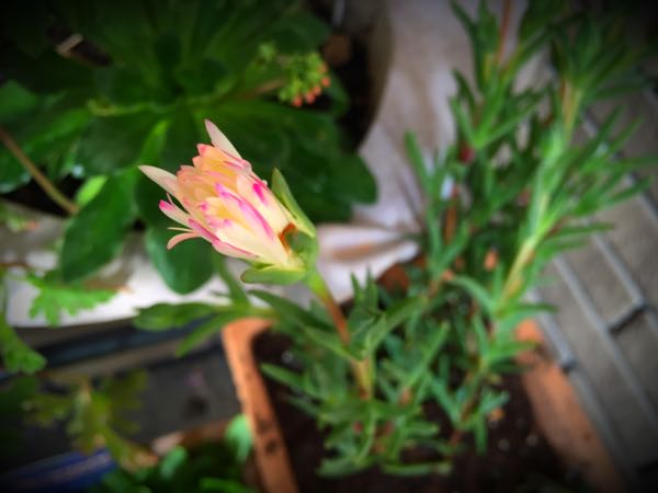 rblog-20160330183635-04.jpg