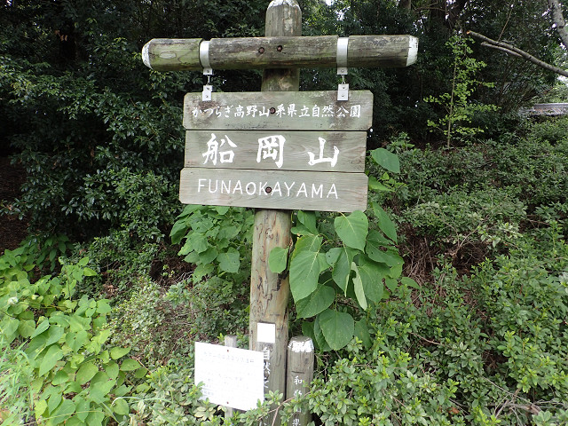resize0022.jpg