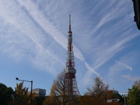 P1000972
