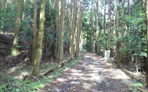rblog-20150905152923-04.jpg