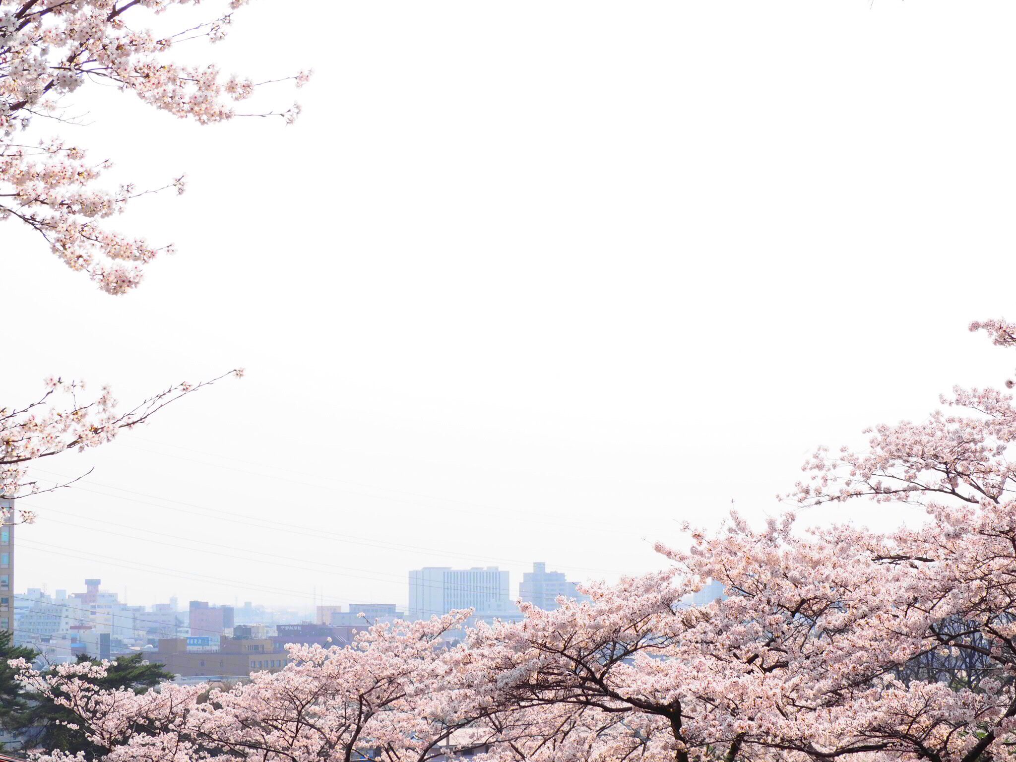 おだやかな日々 〜乗り越えた先に〜