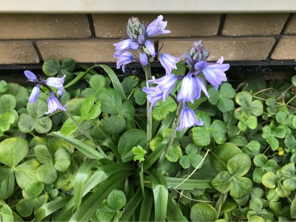 rblog-20190423182704-01.jpg