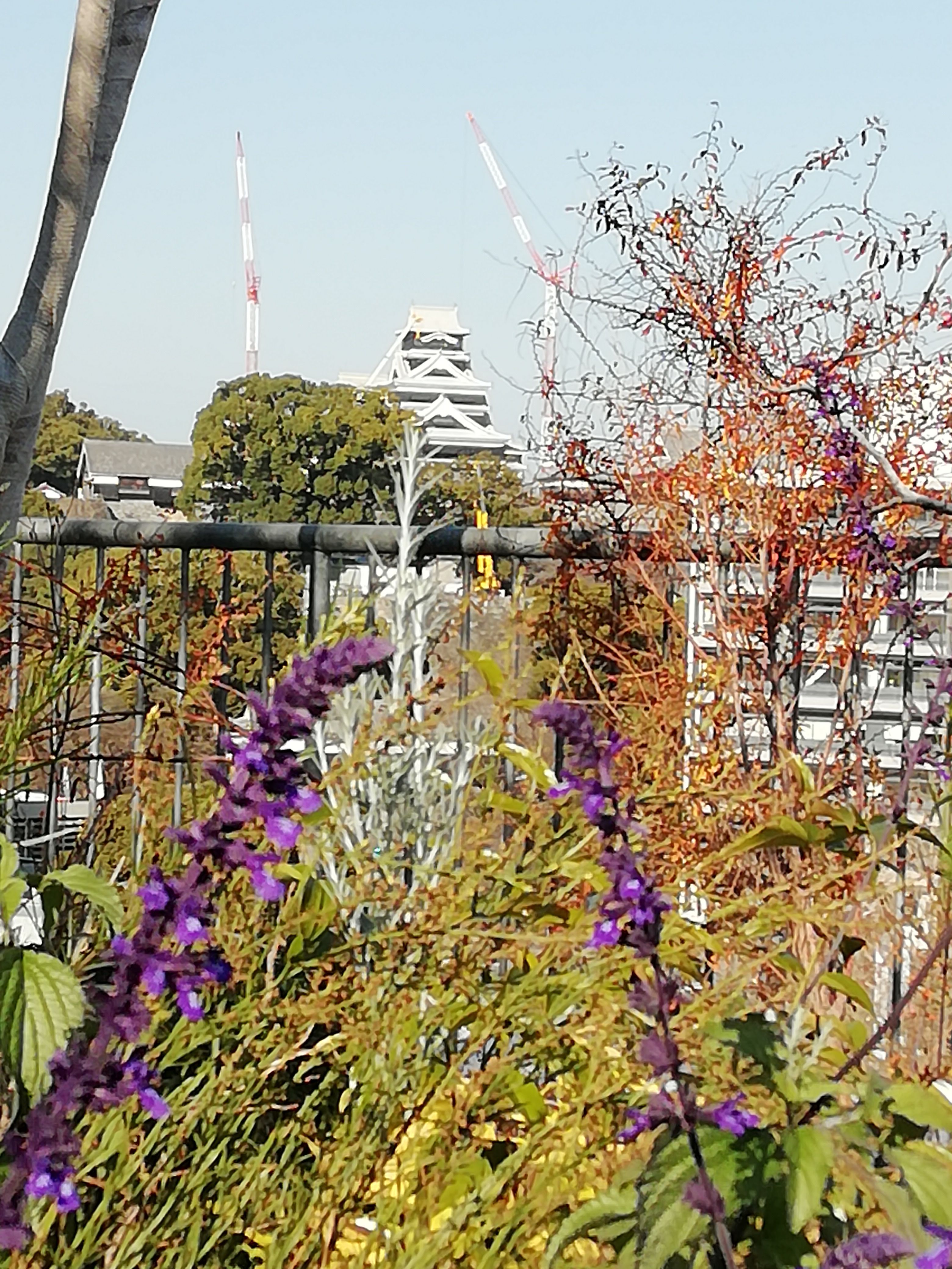 くまもんからの熊本城 おやすめなさい 楽天ブログ