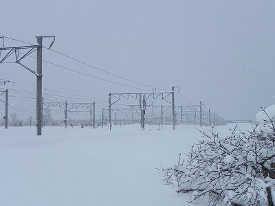DSCN4321.jpg