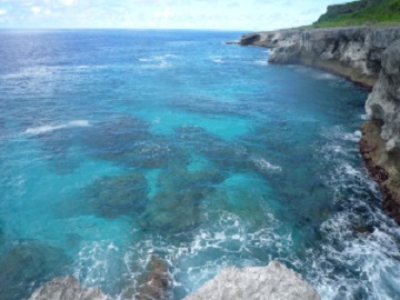 P1010062.JPG