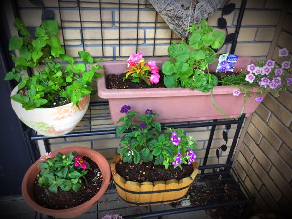 rblog-20150531144709-02.jpg