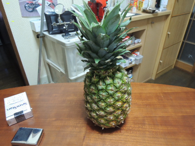 DSCN3311.JPG