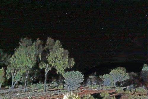OZ815.jpg