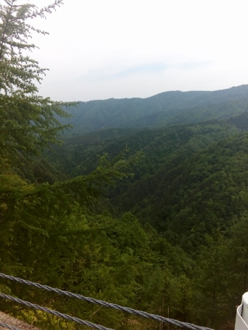 IMG_20160612_090651 (360x480).jpg