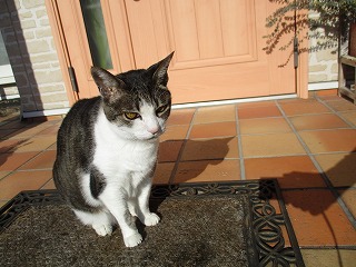 IMG_4199ss.jpg
