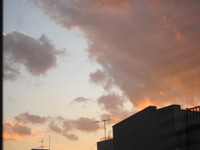Img_0562