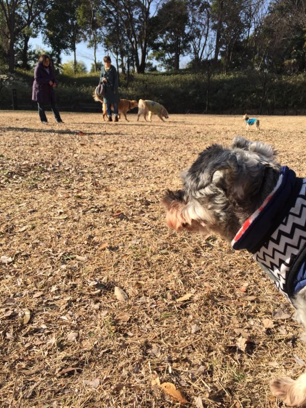 rblog-20160220015153-03.jpg