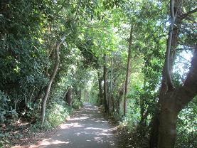 緑地921 (1).JPG