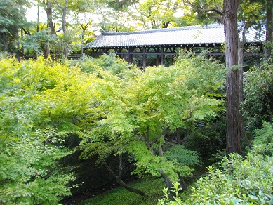 東福寺　通天橋