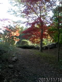 左の崖