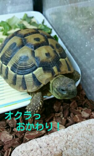 rblog-20151210180532-02.jpg