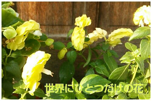 rblog-20161009140449-00.jpg