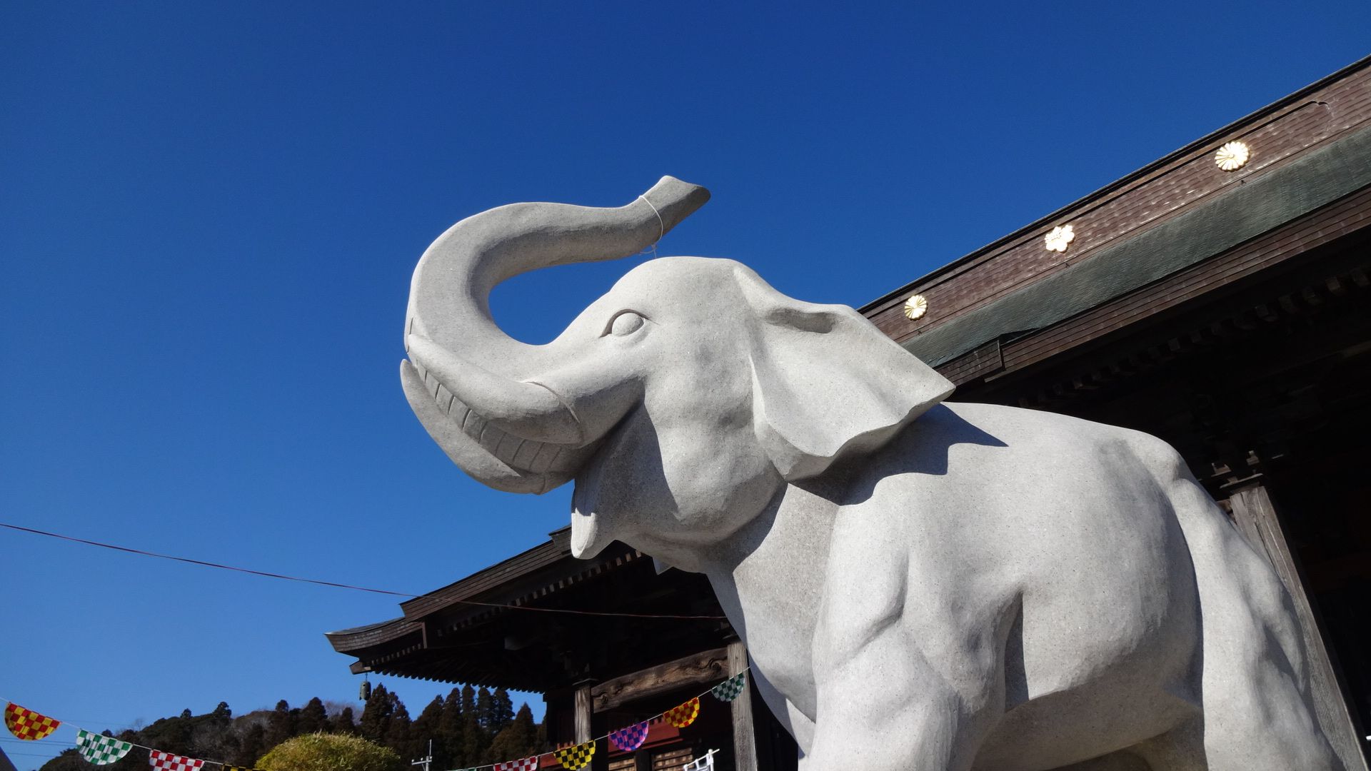 長福寿寺 むくのおかんのブログ 楽天ブログ