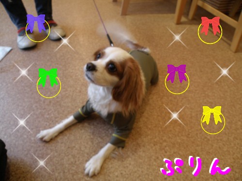 ぷりん.JPG
