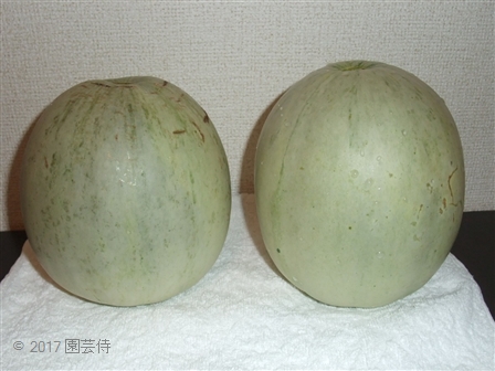 大和プリンスS 201600806-1